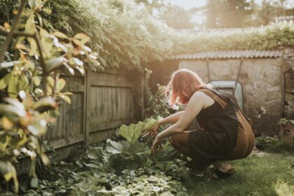 Woman planting vegetable in small home garden
